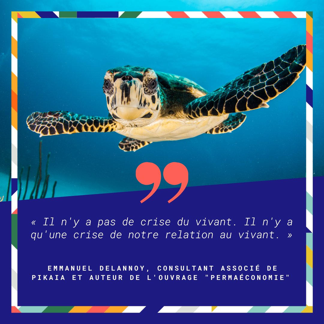 [Programme - MoHoTalks]

“Il n’y a pas de crise du vivant. Il n’y a qu’une crise de notre relation au vivant” 🗣 Emmanuel Delannoy

📆 13 janvier, nous recevrons au #MoHoHQ @umandelannoy, <a href="/Coconutsurfing/">Chris</a> et <a href="/anneline_letard/">Letard Anneline</a>.

Inscrivez vous : ow.ly/yK1r50HgW7c