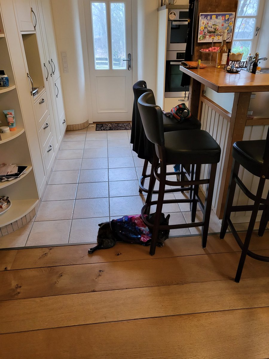 albertk_'s tweet photo. Has anyone seen my dog? I know it's raining but we need to go for a walk. https://t.co/AqGV94BPGU