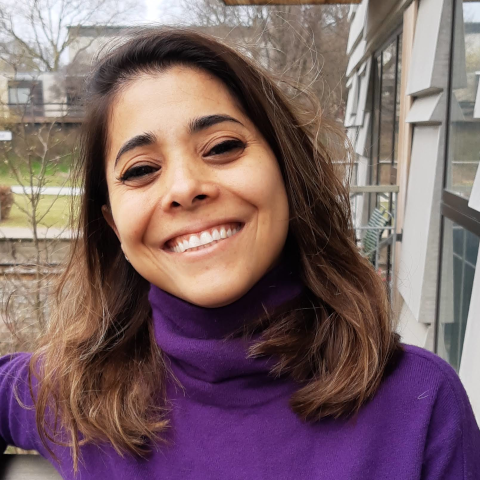 ondm2022's tweet photo. Our 3rd invited speaker, Uiara Celine de Moura (Department of Photonics Engineering, DTU) is going to tell you how machine learning can be applied to inverse system design in photonics systems.

Find more about our invited speakers at: https://t.co/cHWMctBEeH

@DTUtweet #ONDM2022 https://t.co/isPfS2Bpp6