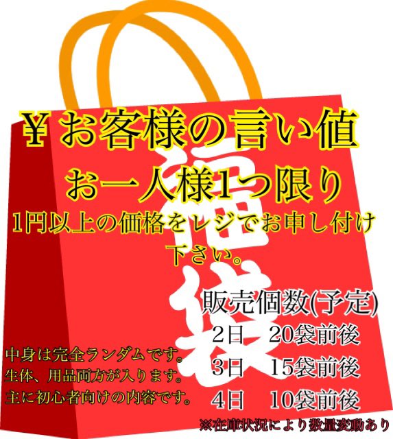 INSECT JOKER official インセクト ジョーカー on X: INSECT JOKER official インセクト ジョーカー on X: