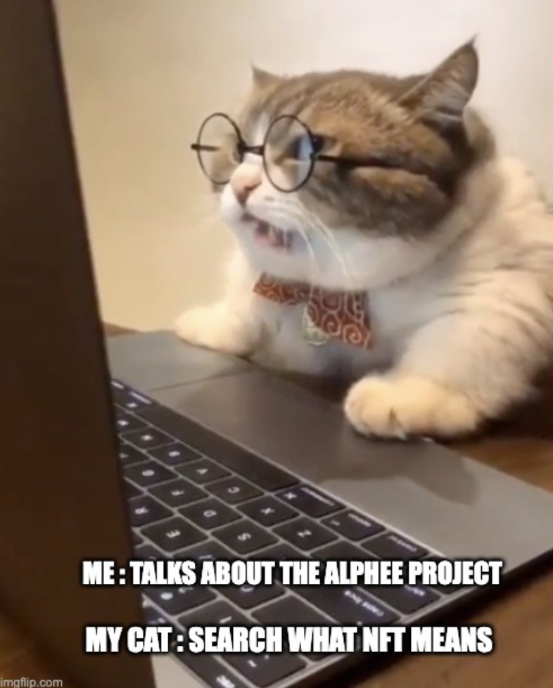 When my cat starts to ask itself questions ... don't be scared 😏😉

#Cat #NFTCAT #CATNFT #Metaverse #Meowtaverse #TimeCaspule #ternoa #Alphee #animalwelfare #virtualtwin