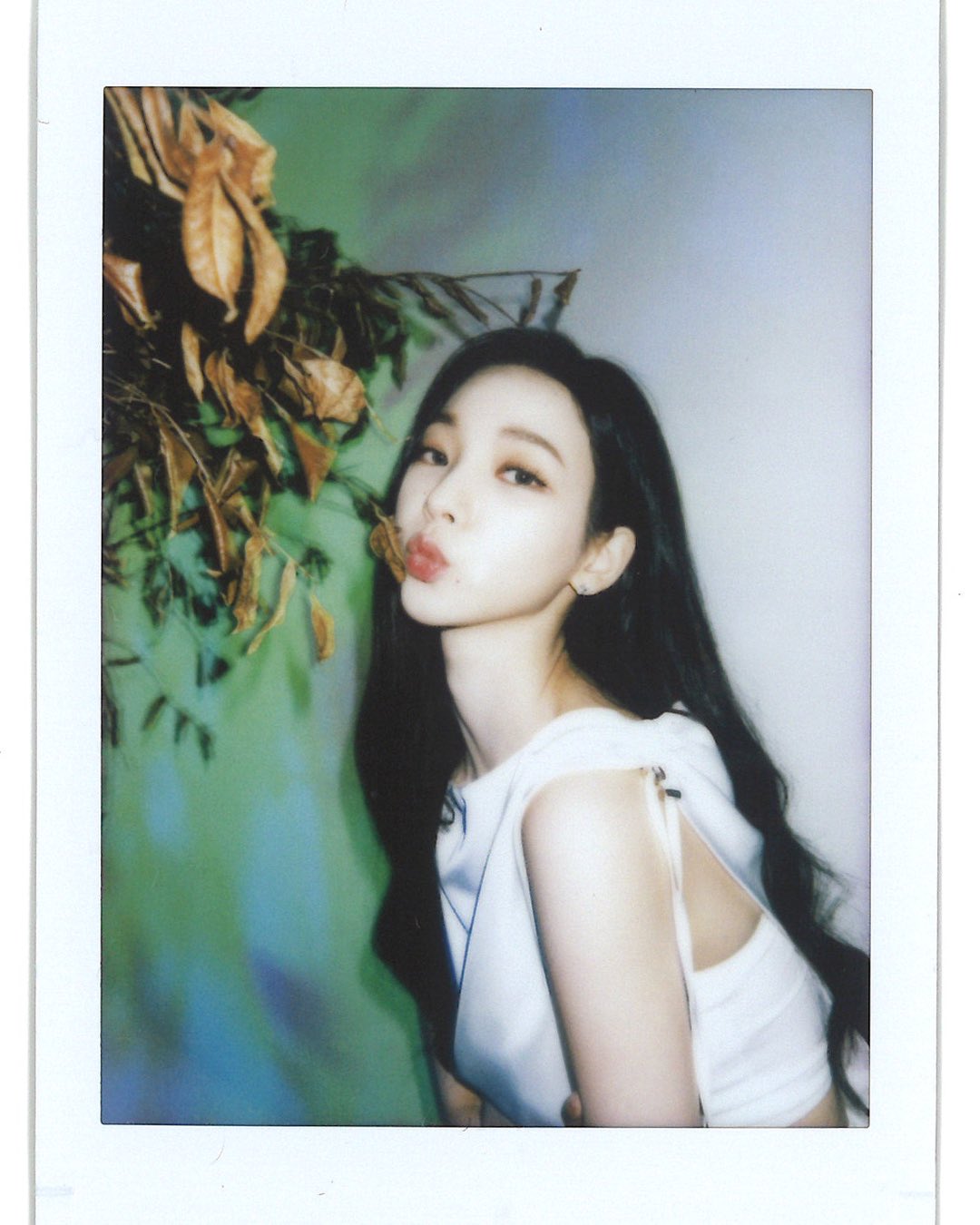 FH2aaieaMAAv340?format=jpg&name=large