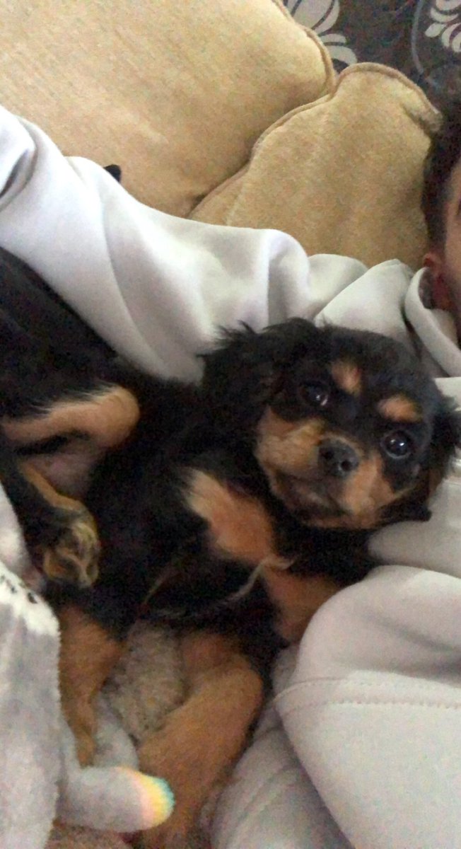 aiden 🎸 tweet media