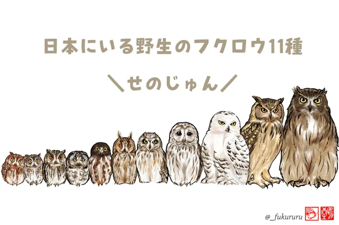 #2021年自分が選ぶ今年の4枚

フクロウがいっぱい🦉
今年もお世話になりました✨良いお年を〜! 