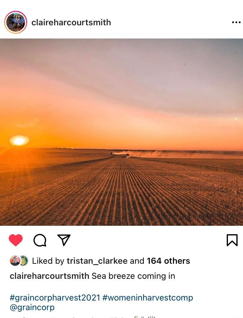 Coolamon tweet media