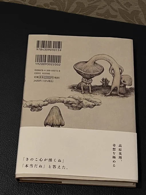 高原英理『日々のきのこ』
幻想小説のようでもあり、詩のようでもあり、異種交合SFのようでもある不思議な作品だけど、ヒグチユウコさんの装画と名久井直子さんの装丁も素晴らしいですね。色彩と紙の手触りがすごくきのこっぽい。電子書籍が伸びてるけど、こういう本を買うと紙はいいなって思いますね 