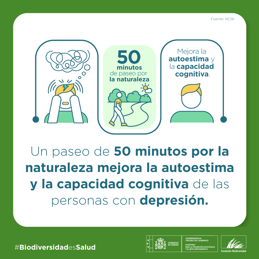 Sinforosa tweet media