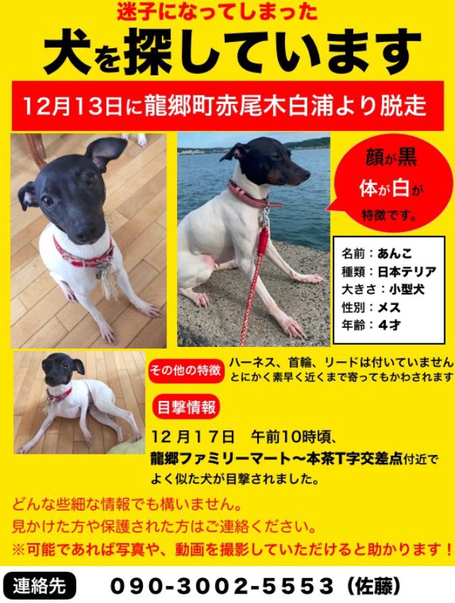黒白の犬 Twitter Search Twitter