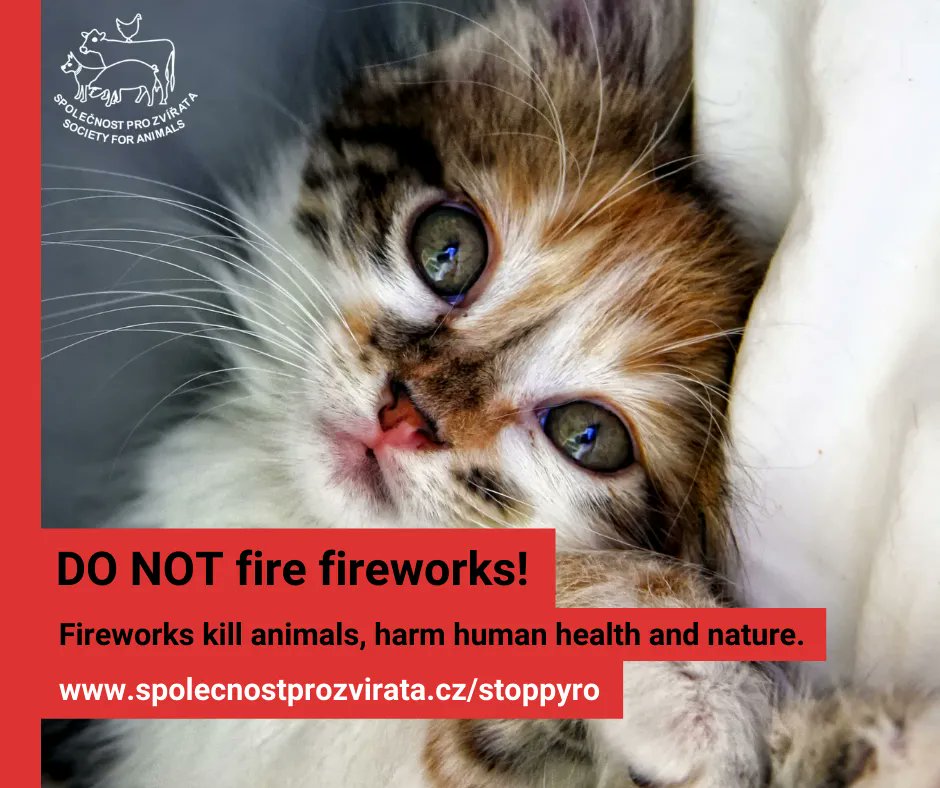 Act4AnimalsEU's tweet photo. Our member organisation @SpolProZvirata has launched a campaign to spread awareness of the risks of #pyrotechnics on #NewYearsEve. 🎆

#Fireworks can harm companion animals, wildlife, and the environment. Learn more about how you can help animals. 👇
https://t.co/p99Wi8PTSj https://t.co/FpWgOR6pMi