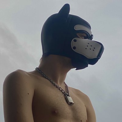 #NouvellePhotoDeProfil