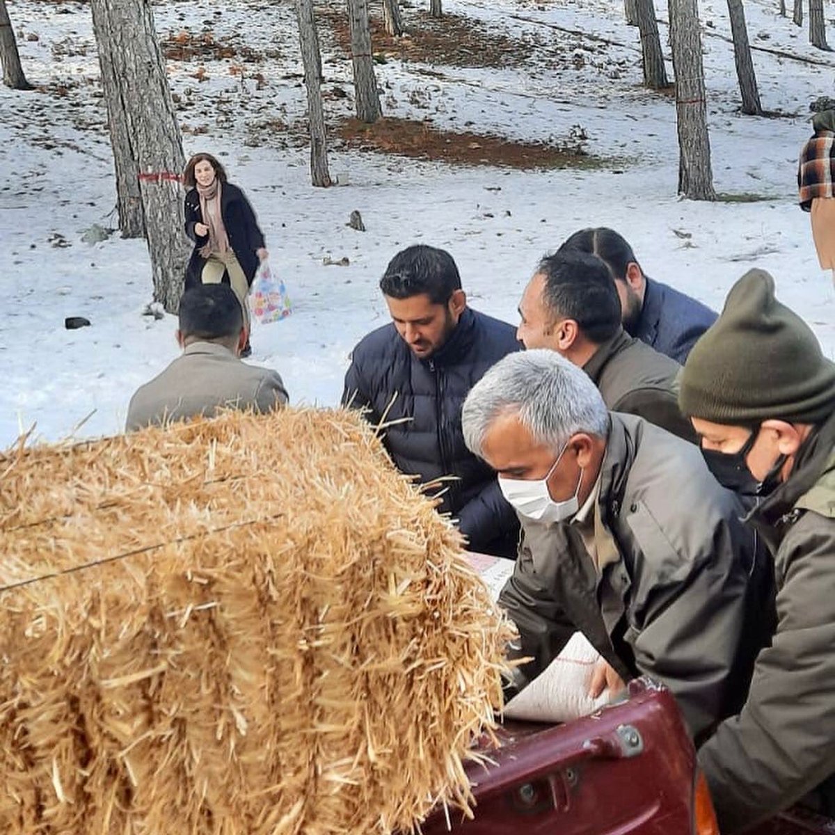 okibrisligil's tweet photo. Osmaniye Doğa Koruma ve Milli Parklar Şube Müdürü Sn. Oktay Deniz'in ev sahipliğinde Milletvekilimiz @kayaismail80 ile birlikte, Zorkun Yaylası Yaban Hayatı Geliştirme Sahası'nda yaban hayvanları ve sahipsiz hayvanlara yönelik yemleme faaliyetimizi gerçekleştirdik. @csk_bsk https://t.co/1PRJhY07Si