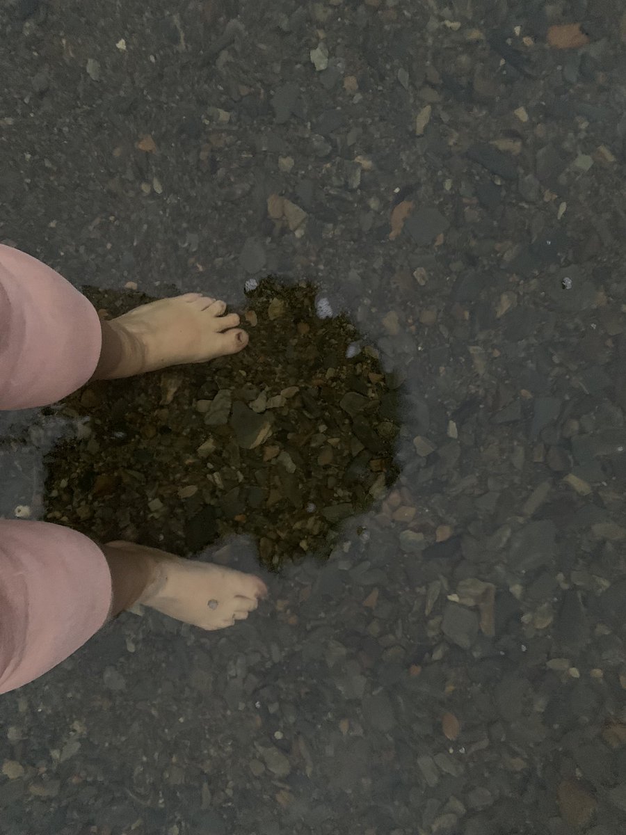 Kath preece tweet media