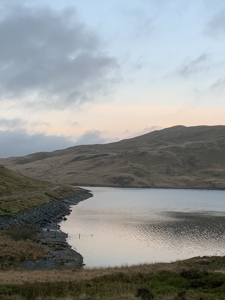 Kath preece tweet media