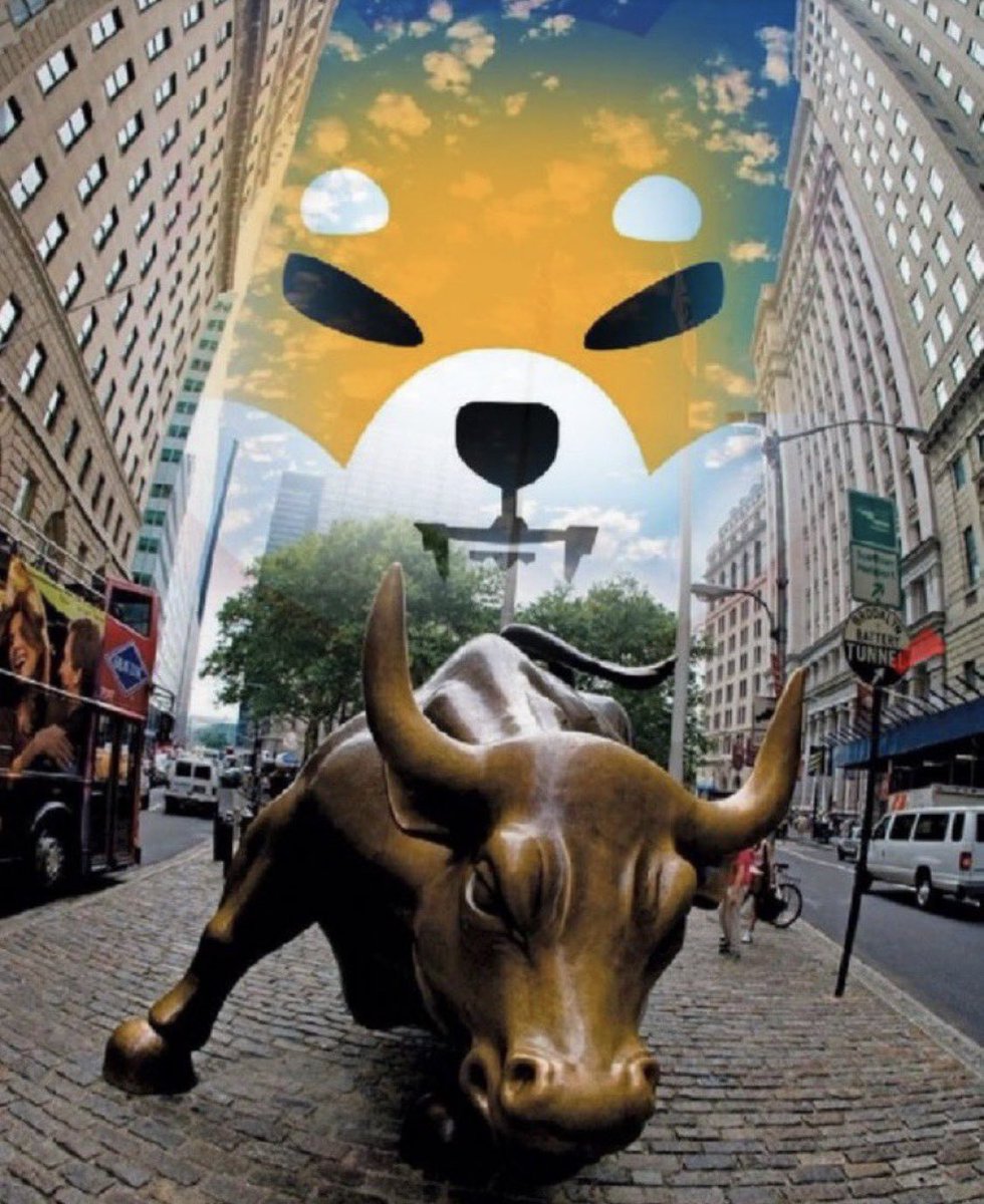 TheMoonNaty's tweet photo. $SHIB is a big and strong BULL 🚀

#ShibainuCoin #Shib #Shiba https://t.co/3fLbRsnOui