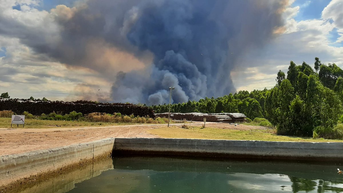MartinRostan9's tweet photo. Incendios forestales en Río Negro. "No se descarta evacuar Algorta" dijo en #VisionFM el jefe de Bomberos de Young Francisco Rodriguez. Van 1200 hectáreas quemadas y el fuego está a 4 km de la localidad. Allí viven unas 900 personas. La rotación del viento complica la tarea. https://t.co/8kzQx8NRlC