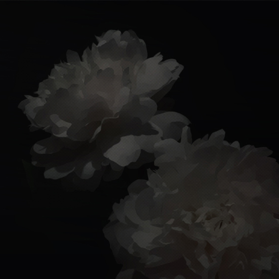 ㅤ
                            𝑬at your 𝘩𝑒𝑎𝑟𝑡 out.