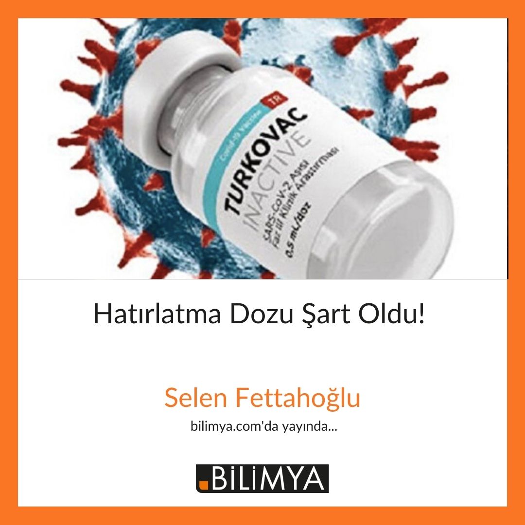 Hatırlatma Dozu Şart Oldu

bilimya.com/hatirlatma-doz…

#turkovac #BioNTech #omicron