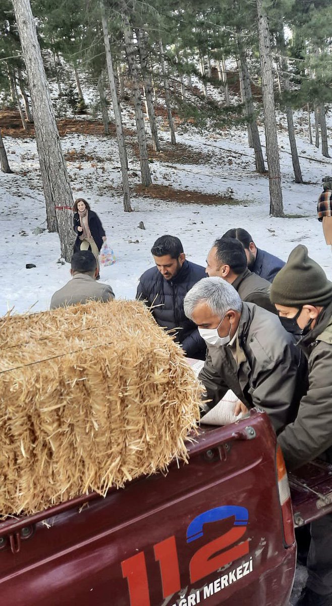 csk_bsk_osm's tweet photo. Osmaniye Doğa Koruma ve Milli Parklar Şube Müdürü Sn. Oktay Deniz'in ev sahipliğinde Milletvekilimiz @kayaismail80 ile birlikte, Zorkun Yaylası Yaban Hayatı Geliştirme Sahası'nda yaban hayvanları ve sahipsiz hayvanlara yönelik yemleme faaliyetimizi gerçekleştirdik. @osmaniyedkmp https://t.co/HAw5iIsEEx