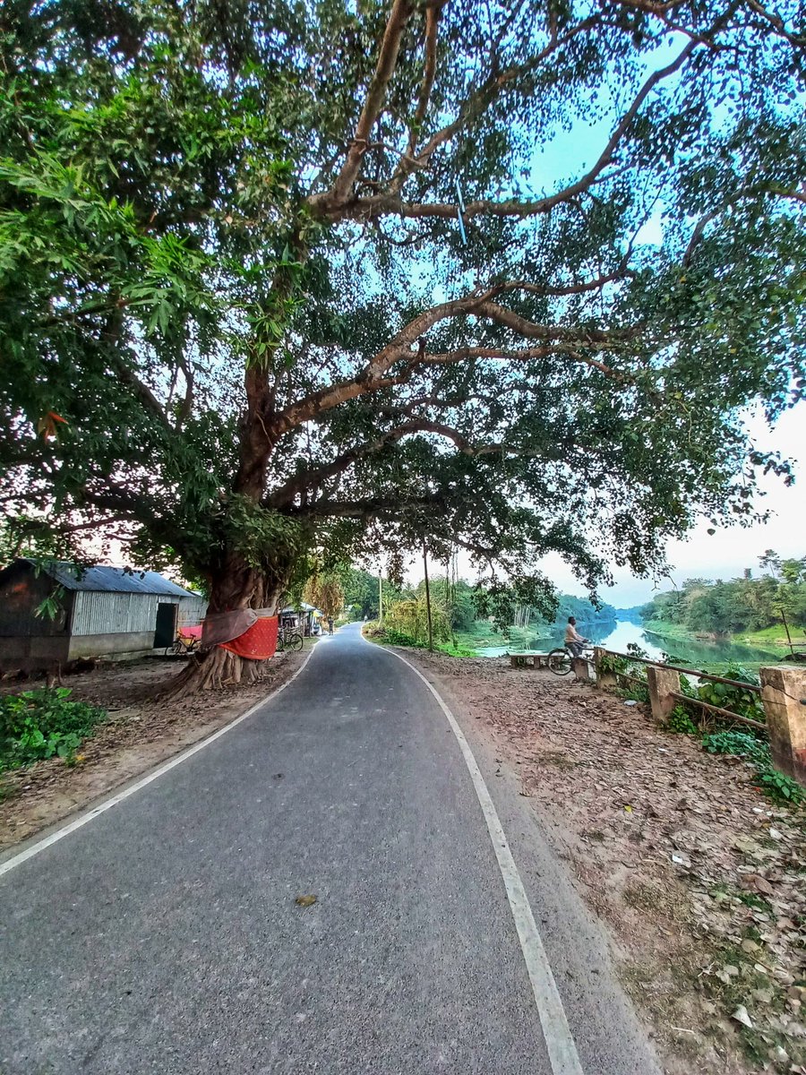 rakibtarafderrr's tweet photo. 📷 #samsungA52 
#mobilephotography
#GoodEvening #mobilecliks #samsungindia #Samsung https://t.co/bnnHtf6gYE
