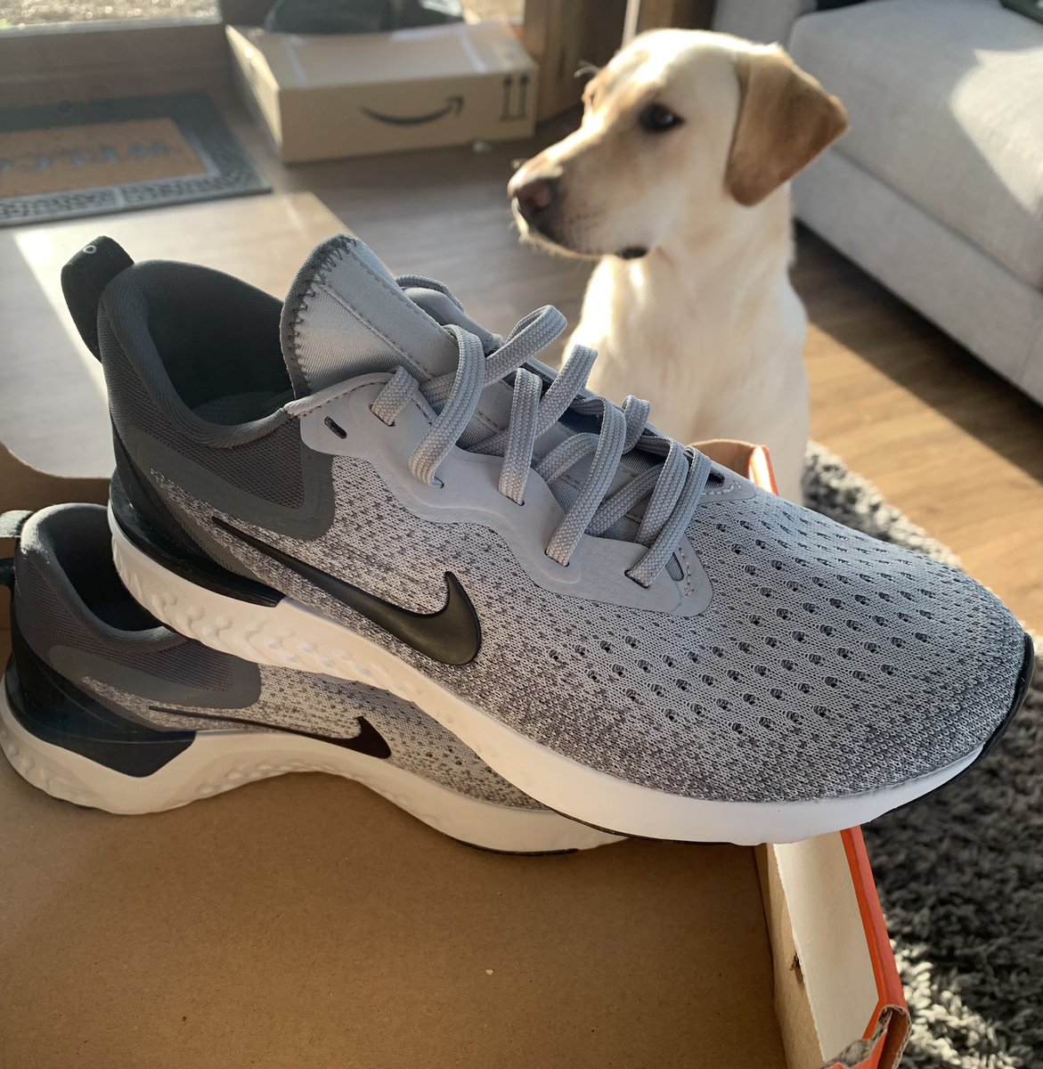 oram_pe's tweet photo. Obligatory new year = new trainers Twitter post 👟. Getting excited over new trainers and them being work shoes!! Teaching is the dream career! Quite different from formal shoes I wore as a court clerk last year 😂 bring on next term😀 #PEtrainee #pgce #pepgce #edutwitter https://t.co/9HCn7zdr5C