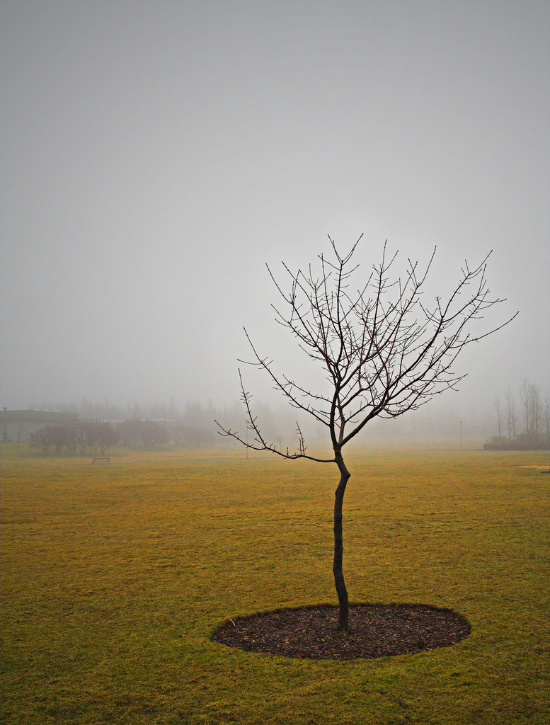 Freyr Ólafsson tweet media