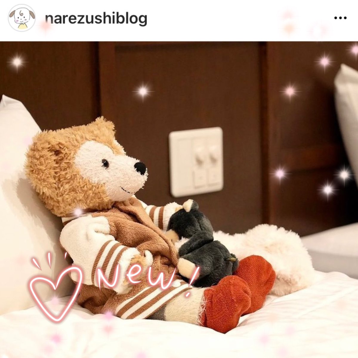 narezushiblog's tweet photo. めんちゃん🐻
今年のゴチも今日で最後。
大好きなまっすーを応援中📣
アディココはぐっすり💤
#duffy #sunarrow #potte 
#ダッフィー 
#ぐっすりクマちゃん 
#ぬいぐるみの時間 
#ぬいママさんと繋がりたい 
#ぐるナイゴチ https://t.co/yUYQxvltNt