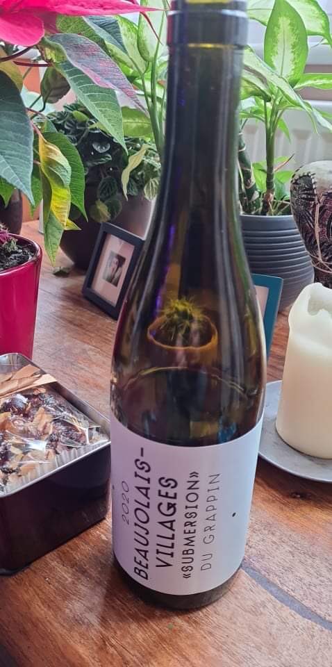 martin wilson tweet media