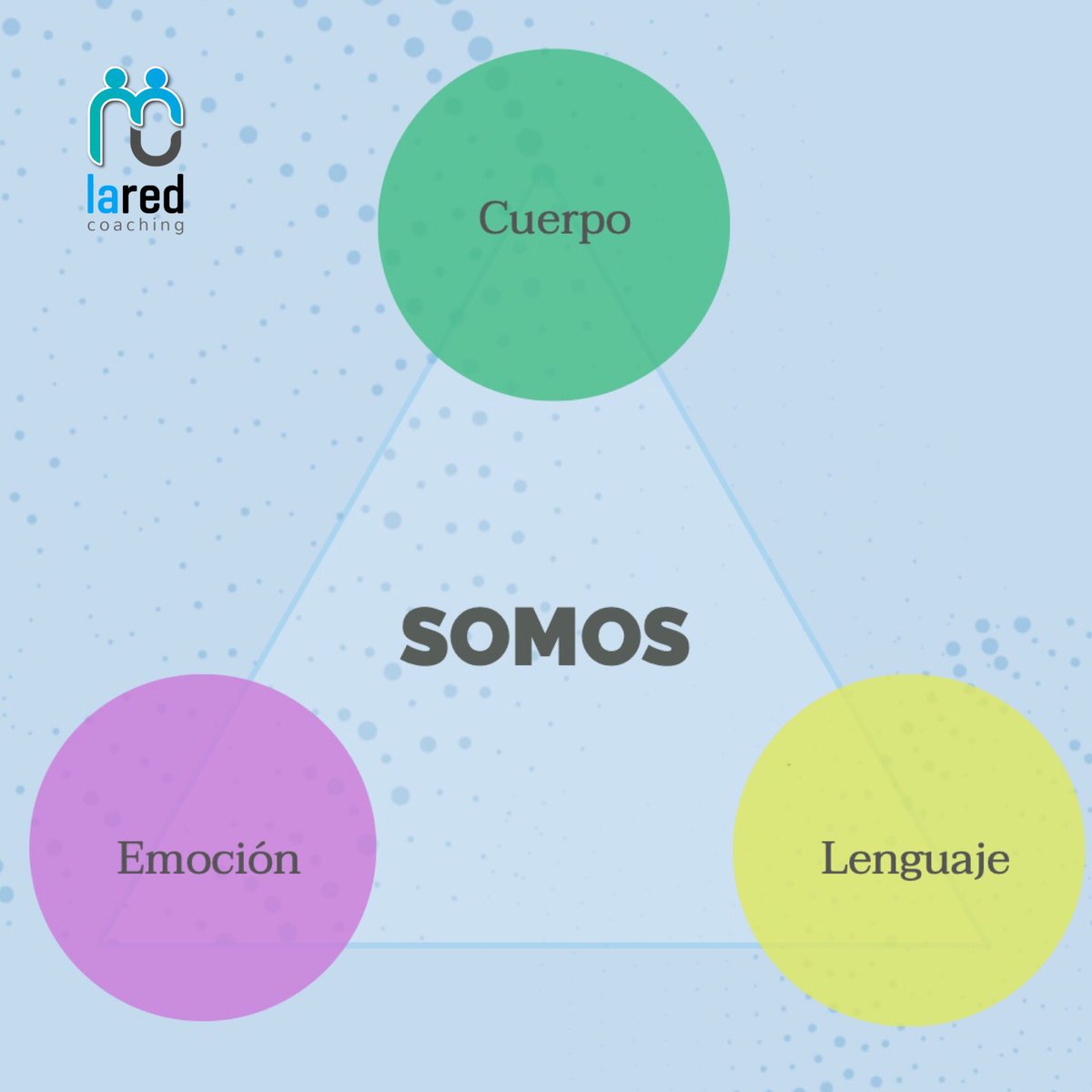 Laredcoaching's tweet photo. Nuestros 3 dimensiones viven en coherencia. El estado emocional que habitamos dispara las conversaciones que sostenemos y definen nuestra particular disposición corporal. #estadosemocionales #disposicionescorporales #lenguaje #coaching https://t.co/ex5Ai7lBzk