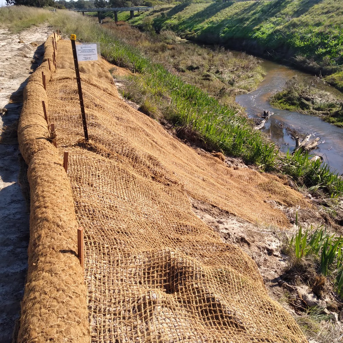 Jane Townsend tweet media