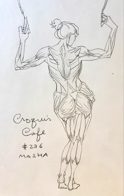 #croquiscafe236 Masha胸鎖乳突筋/三角筋/僧帽筋/大胸筋/上腕二頭筋/上腕三頭筋/腕橈骨筋/上腕筋/前鋸筋/腹直筋/斜腹筋/大腿四頭筋/ハムストリングス/大円筋/棘下筋/広背筋/腓腹筋/中臀筋/大臀筋/大腿筋膜張筋/縫工筋/薄筋の起始停止を愛でながら描きます。 