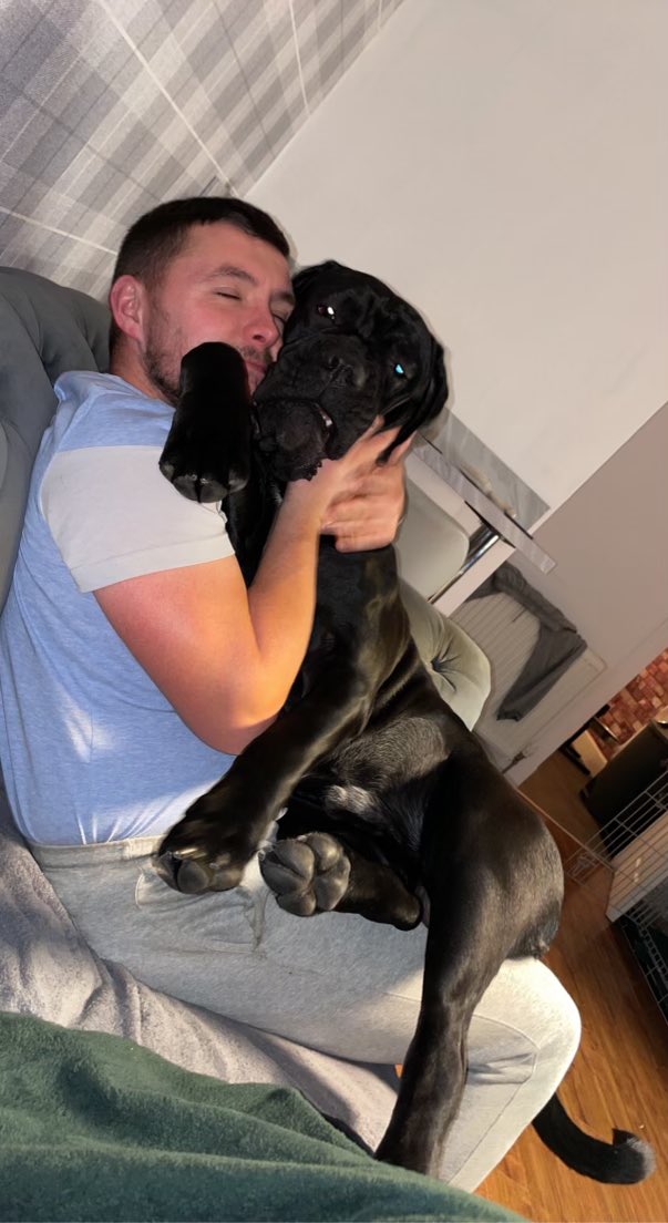 DeanForbes94's tweet photo. Humans don’t deserve the love a dog has to offer. 2021 was a brutal year but having a dog in the family made life a whole lot easier. My best mate 🐶❤️ 

@demigrantxxxx https://t.co/Ch2wTi3L3U