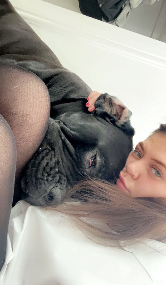 DeanForbes94's tweet photo. Humans don’t deserve the love a dog has to offer. 2021 was a brutal year but having a dog in the family made life a whole lot easier. My best mate 🐶❤️ 

@demigrantxxxx https://t.co/Ch2wTi3L3U