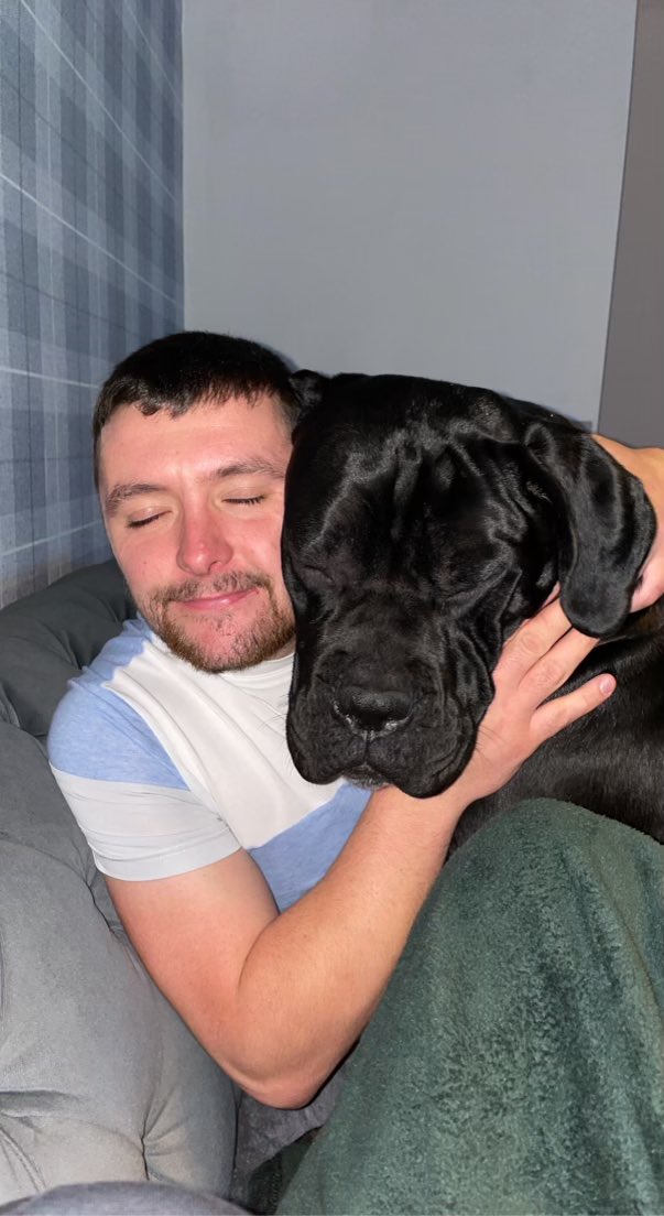 DeanForbes94's tweet photo. Humans don’t deserve the love a dog has to offer. 2021 was a brutal year but having a dog in the family made life a whole lot easier. My best mate 🐶❤️ 

@demigrantxxxx https://t.co/Ch2wTi3L3U