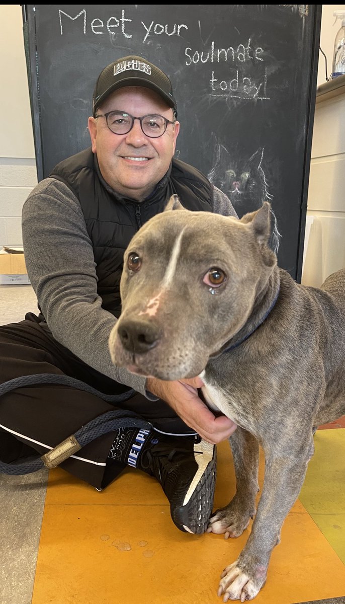 Visited our Animal Shelter ( ACCT)  and  met Gilligan.  He is 7 years old and very sweet!  

He was found in a 10 foot drop off  on a river bank stranded.  

Please consider adopting Gilligan!  It will change his life!  Best New Years Present ever! 

acctphilly.Org
