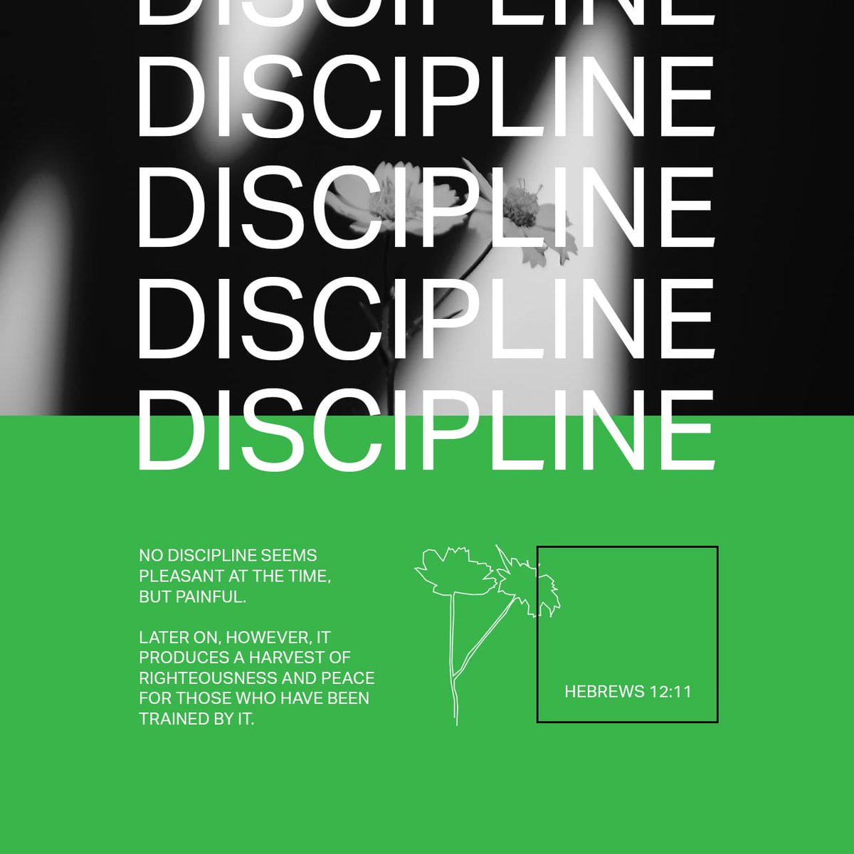 timroberts1979's tweet image. 2/2 Help me Lord to stay committed to the discipline of spending time with you when all other distractions tempt me away! #DeathByDistraction #Temptation #Discipline #Endurance #GodsWord #Hebrews12 #Judges13 #StayAlert