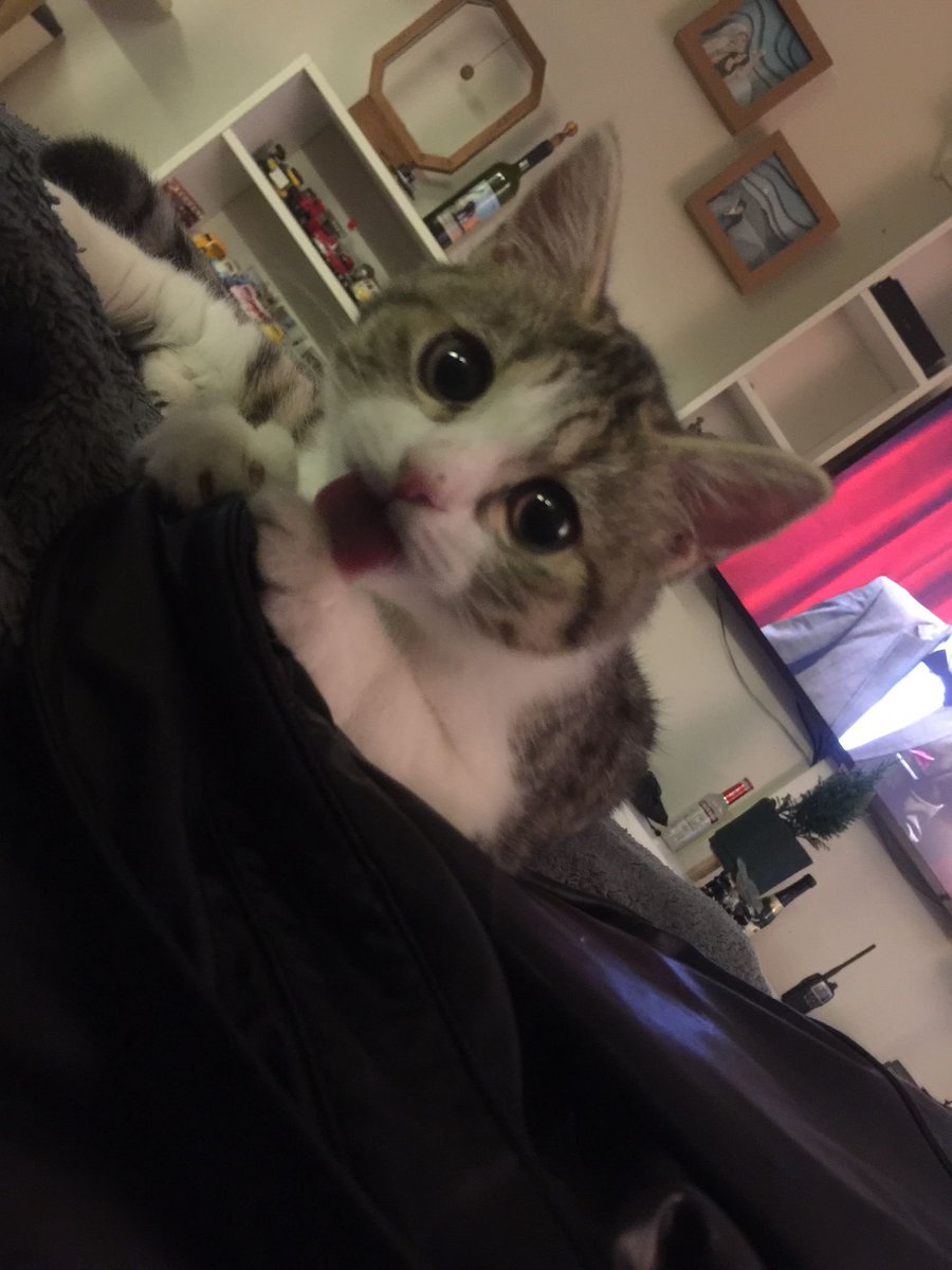 Hemcinslerimi yalamayı severim 👅