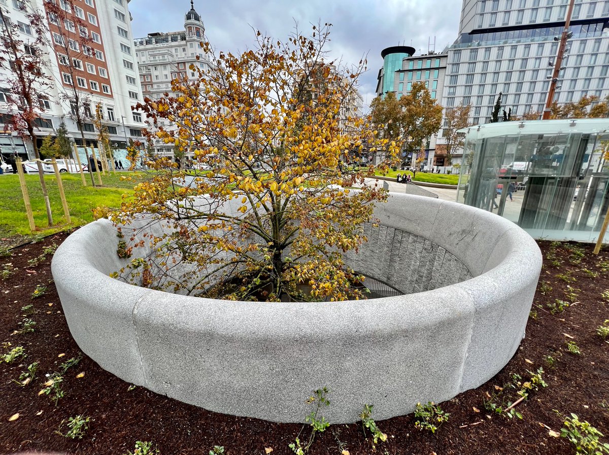 Don Julito tweet media