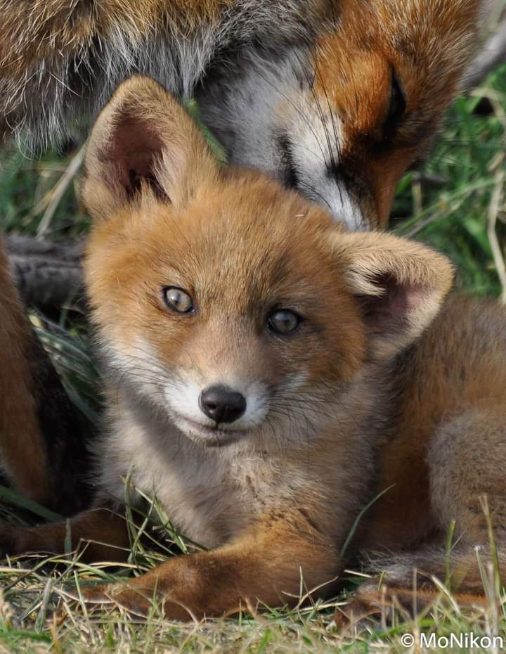 ❤