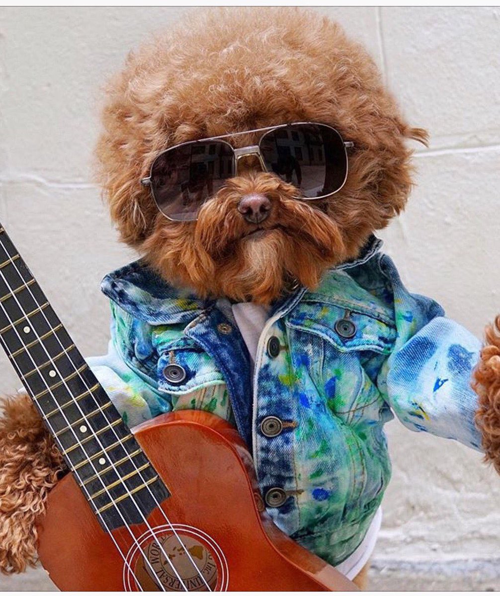 Happy 74th birthday to Jeff Lynne. 