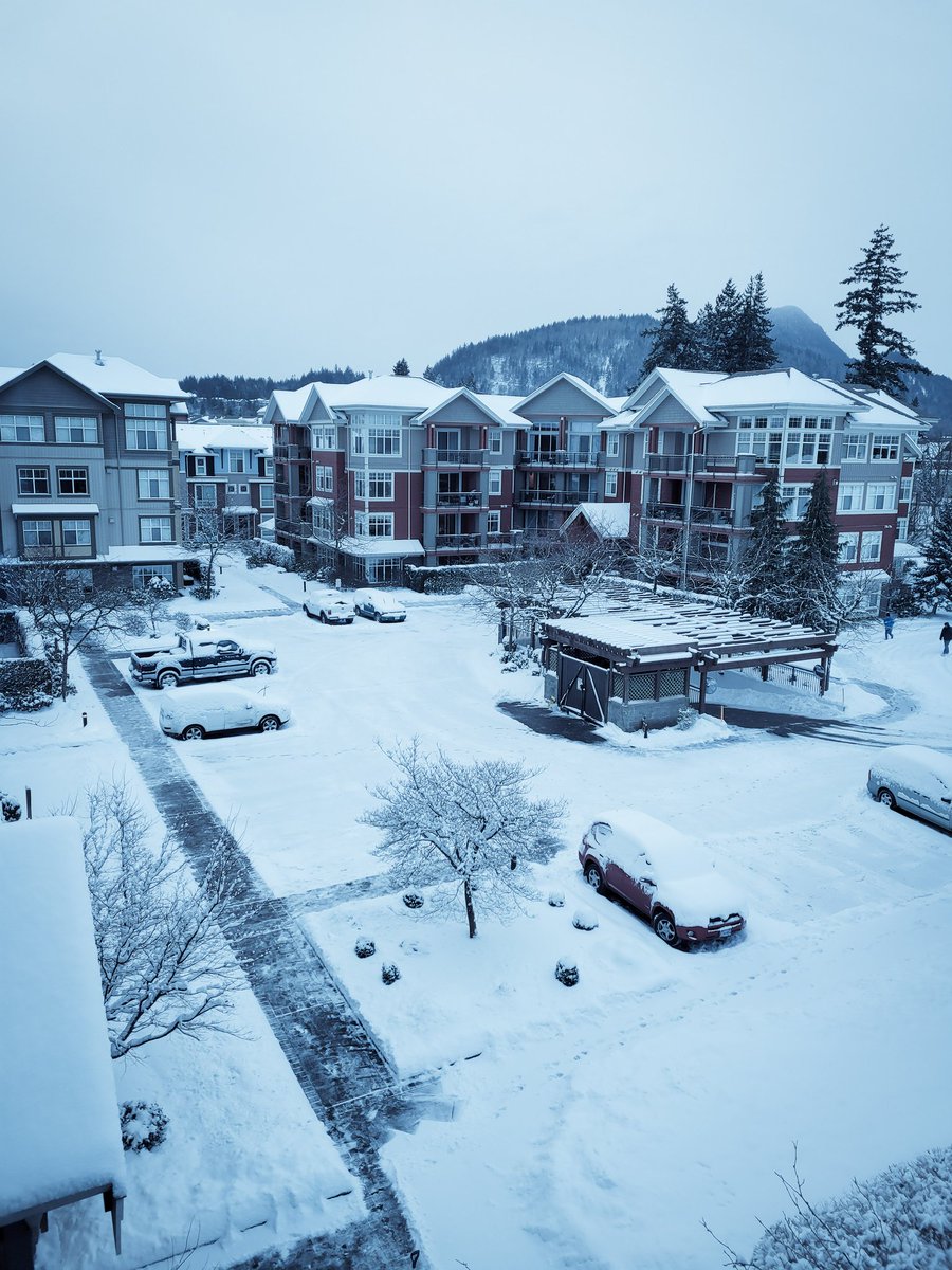 Good Morning🥶
#arcticoutflow #winterbc #Snowfall