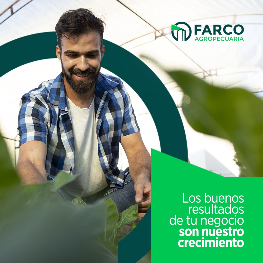 FarcoAgro's tweet photo. 🌱Los buenos resultados de tu negocio son nuestro crecimiento. Ponemos a tu disposición la mejor tecnología y profesionales capacitados. 

Comunicate con Farco al 095 640 929

#FarcoAgropecuaria #cosechas #siembra #movimientodetierra https://t.co/eQ2E0kpTwY