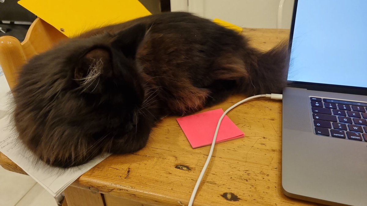 jm_auffret's tweet photo. @sliard Pareil 😺 https://t.co/M5ABZ5B6i6