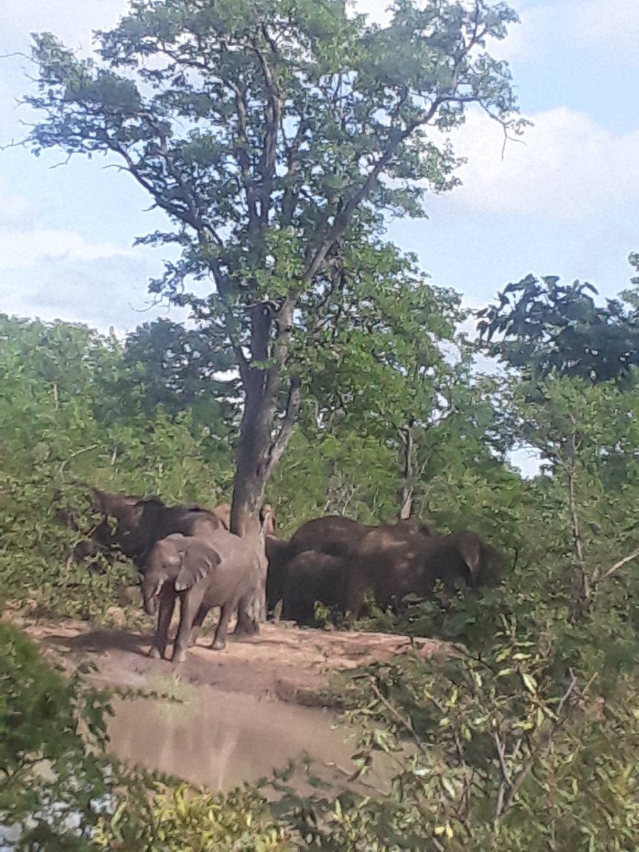 Nature is best <a href="/Kruger/">Dalibor Ban</a> National park