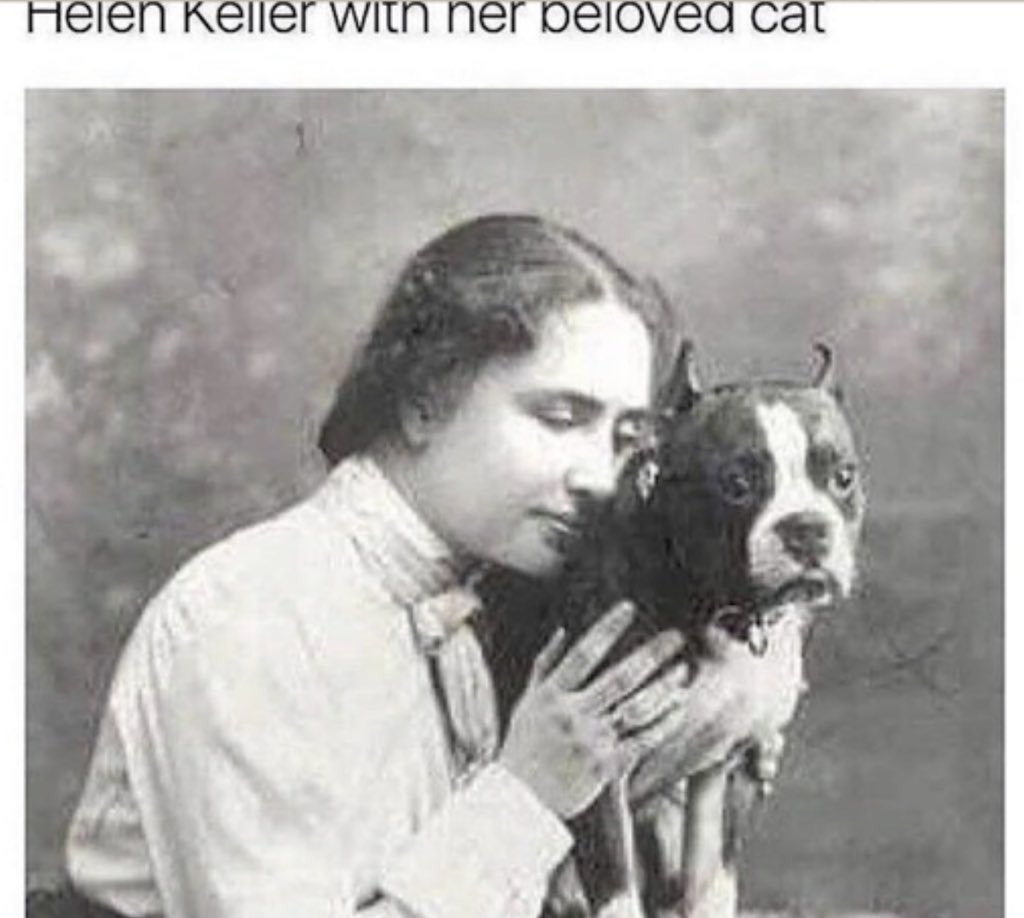 _Smidge___'s tweet image. 