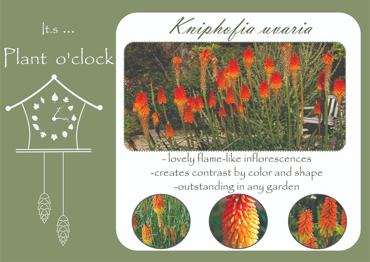 Ding - dong! It s plant o'clock 🙃