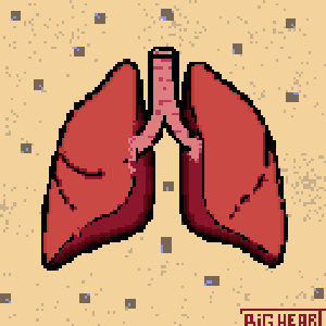 Become a part of BNHClub
Every second patient diagnosed with the disease dies within a year
The number of primary cancer cases in 184 countries increased to 14.1 million, the number of deaths increased to 8.2 million.
#NFTartists #cancer #NFTCollection 
opensea.io/collection/onc…