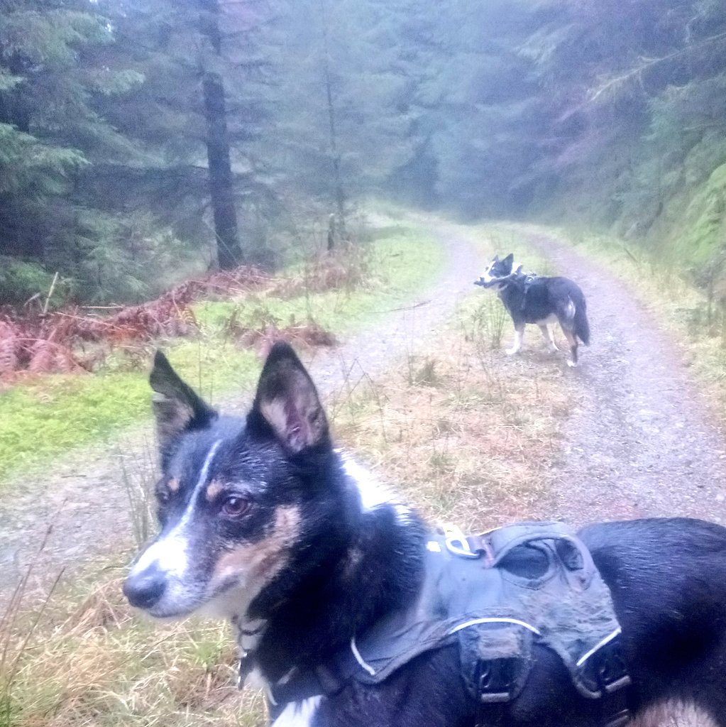 Nell & Jess tweet media