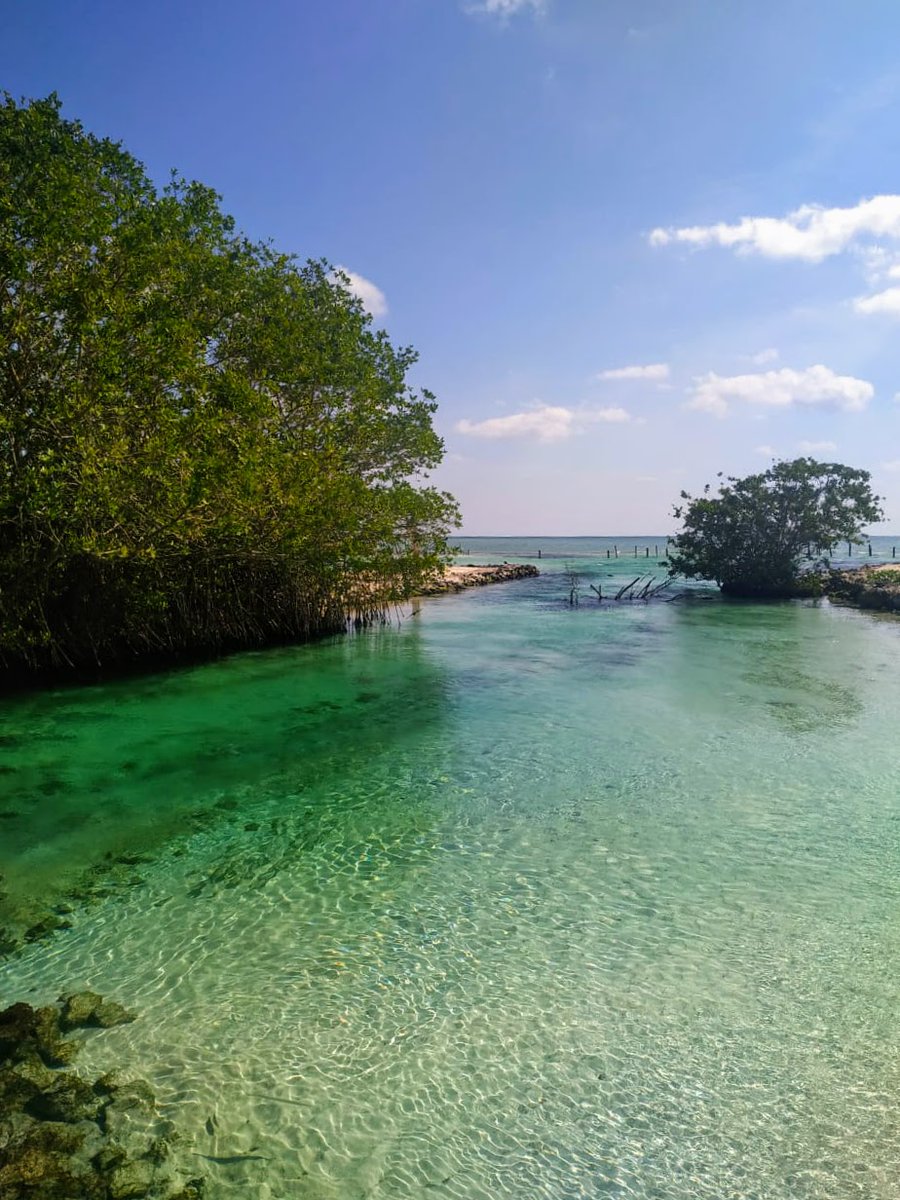 sunsetworldnet's tweet image. One of our "three rivers" (Tres Rios). 💙 #SunsetWorldIsBack @TresRiosResort