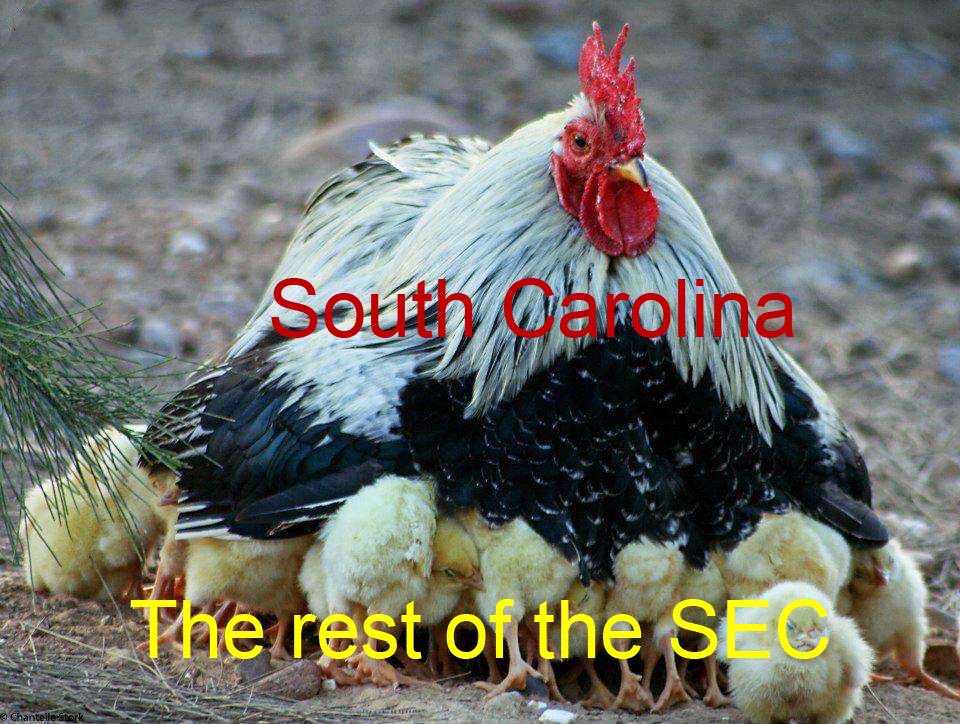 Absolutely carrying the conference right now.