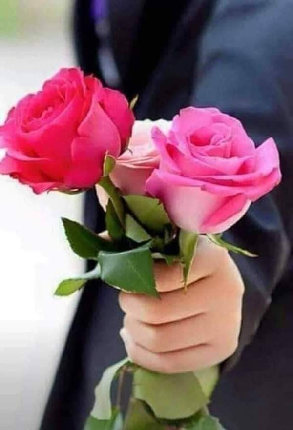 qgogom's tweet photo. @ah74m @Ah__9md @A_m_o_n_A @W_a2l @a___fna @marw_a_ @b_s_k8 @DIDA1_0 @VipRama1 @me1ad1 @iShiirr @2x_ij @ho88_sh @K_____H3 @fareddddd @he__baa @ArrowMan0 @MAN4___ @_7li4 @M7mad_Gamall @khalidali5262 @faten__1907 @eldeeb03397223 @Mlk____a @aboabdallasalah @lYorX @Nadasaber66 تسلم طنطاوي 
كلك ذووووووووق https://t.co/f1V24jMgwO